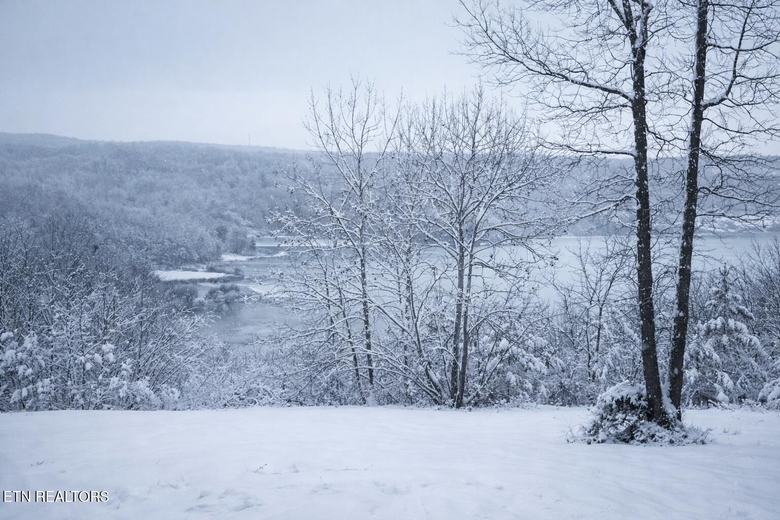 140 Quail Holw Cove Spring City, TN 37381 - Photo 15 of 15 1000015187