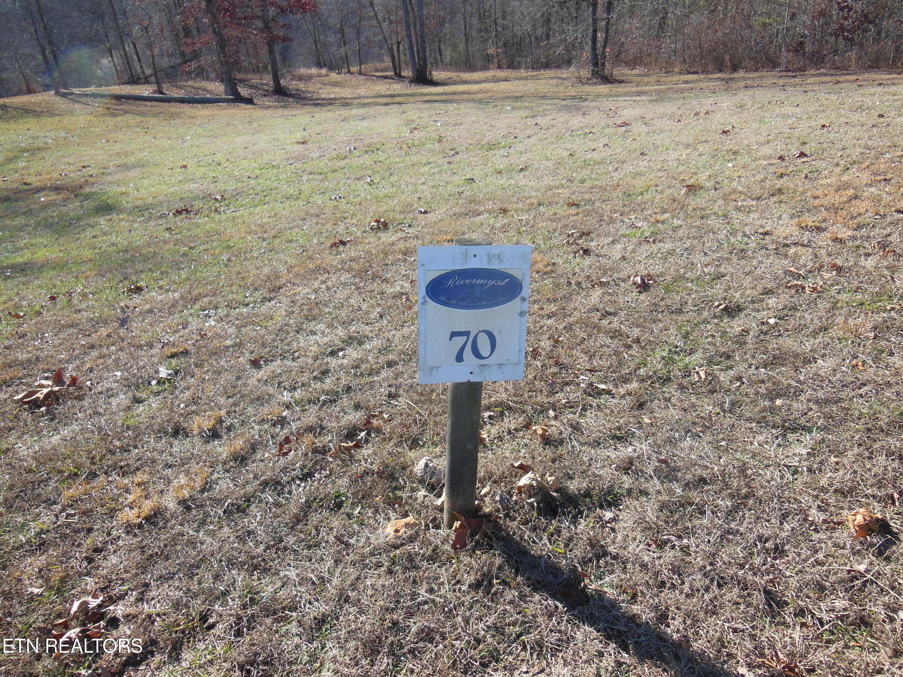 140 Quail Holw Cove Spring City, TN 37381 - Photo 2 of 15 DSCN9847