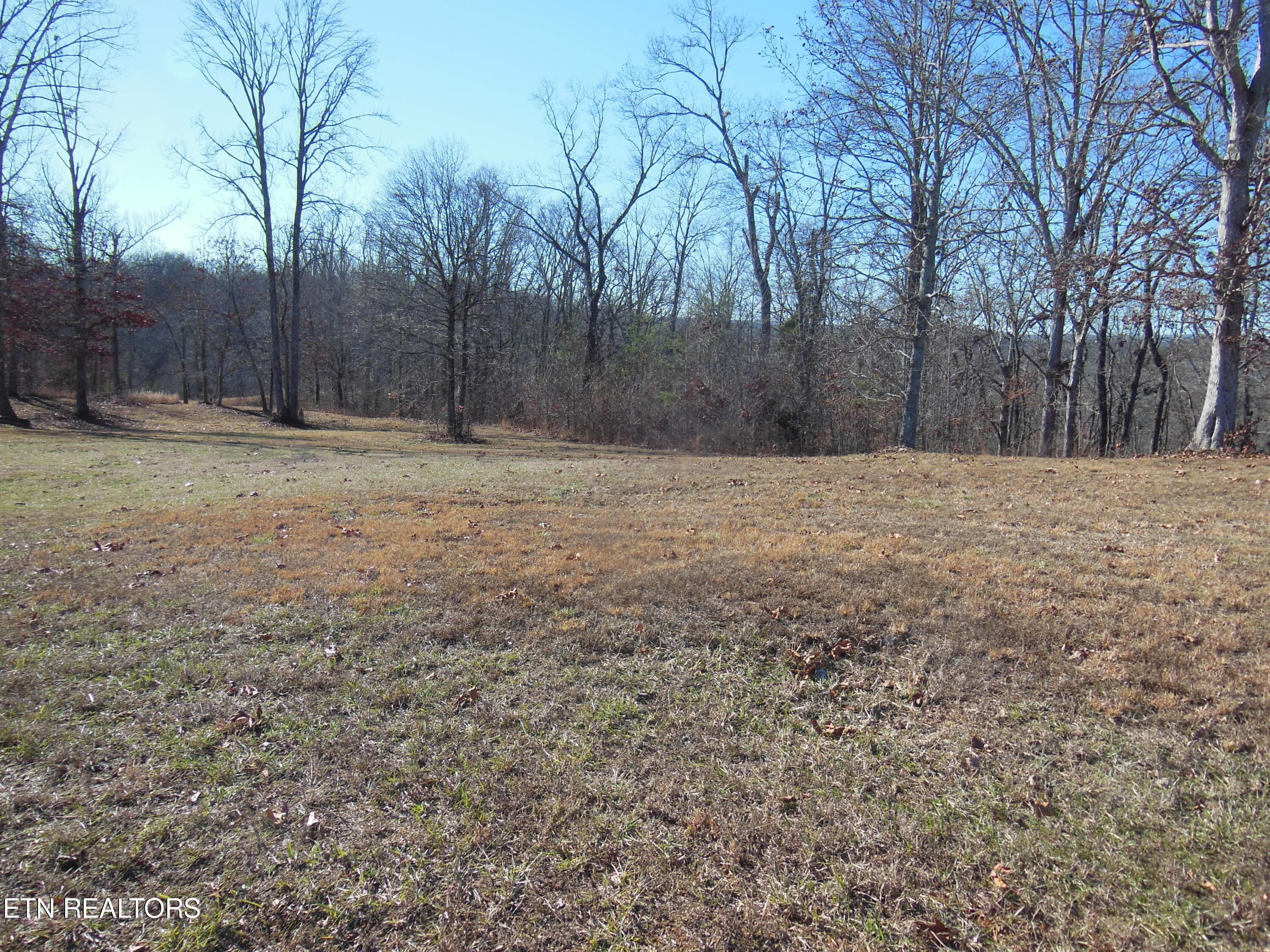 140 Quail Holw Cove Spring City, TN 37381 - Photo 4 of 15 DSCN9846