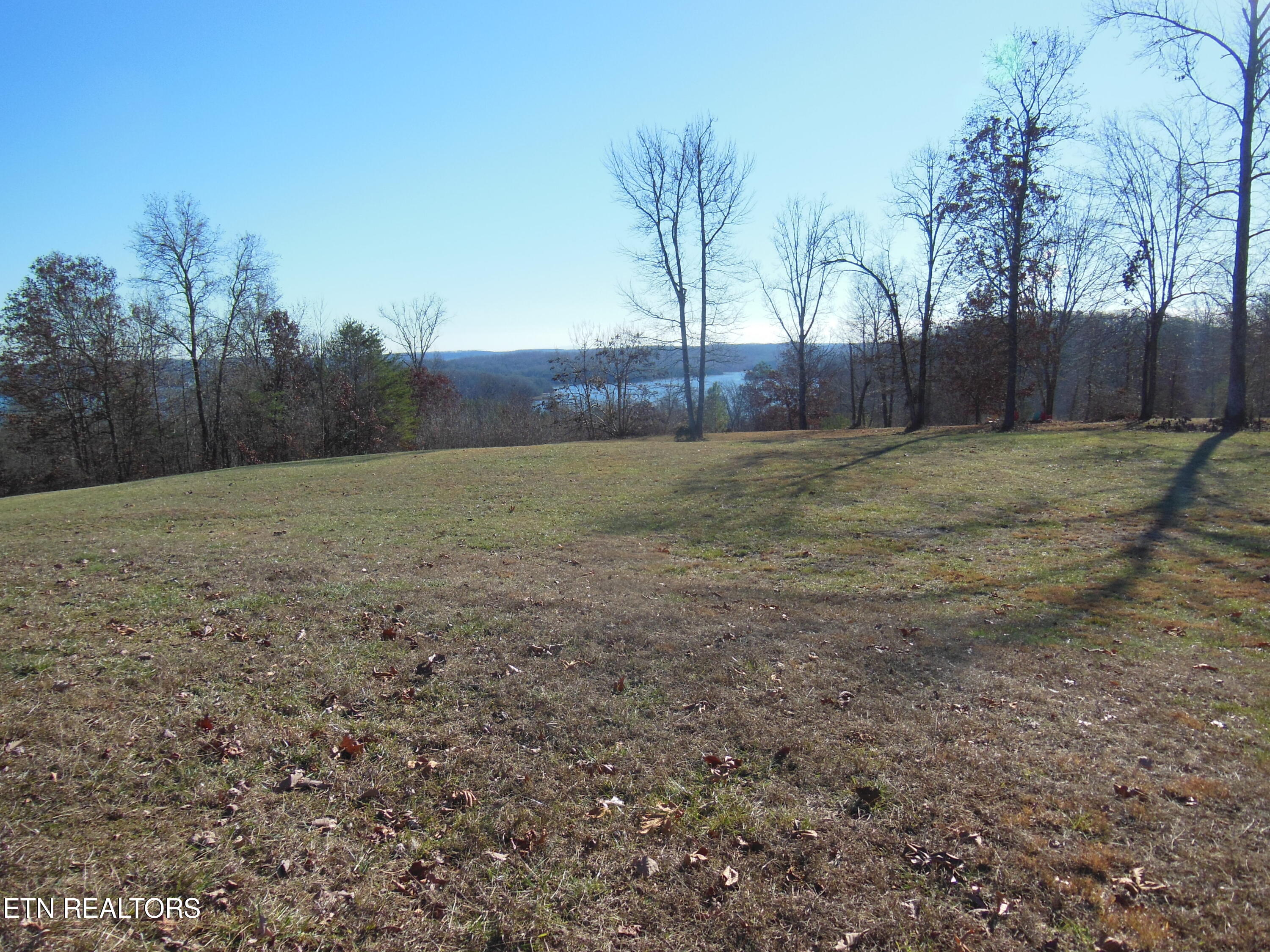 140 Quail Holw Cove Spring City, TN 37381 - Photo 5 of 15 DSCN9848