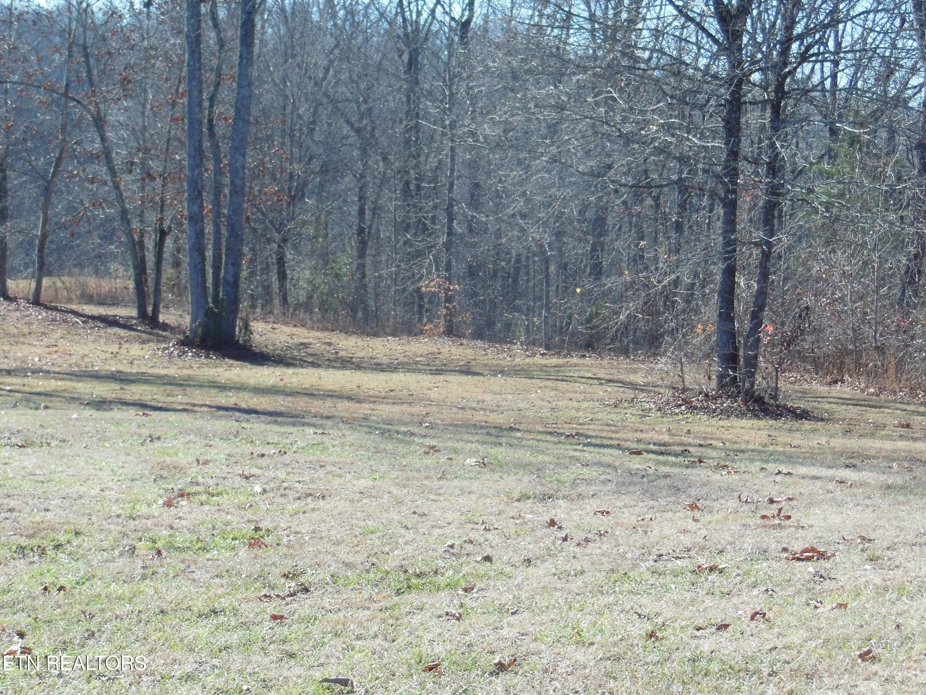 140 Quail Holw Cove Spring City, TN 37381 - Photo 6 of 15 DSCN9850