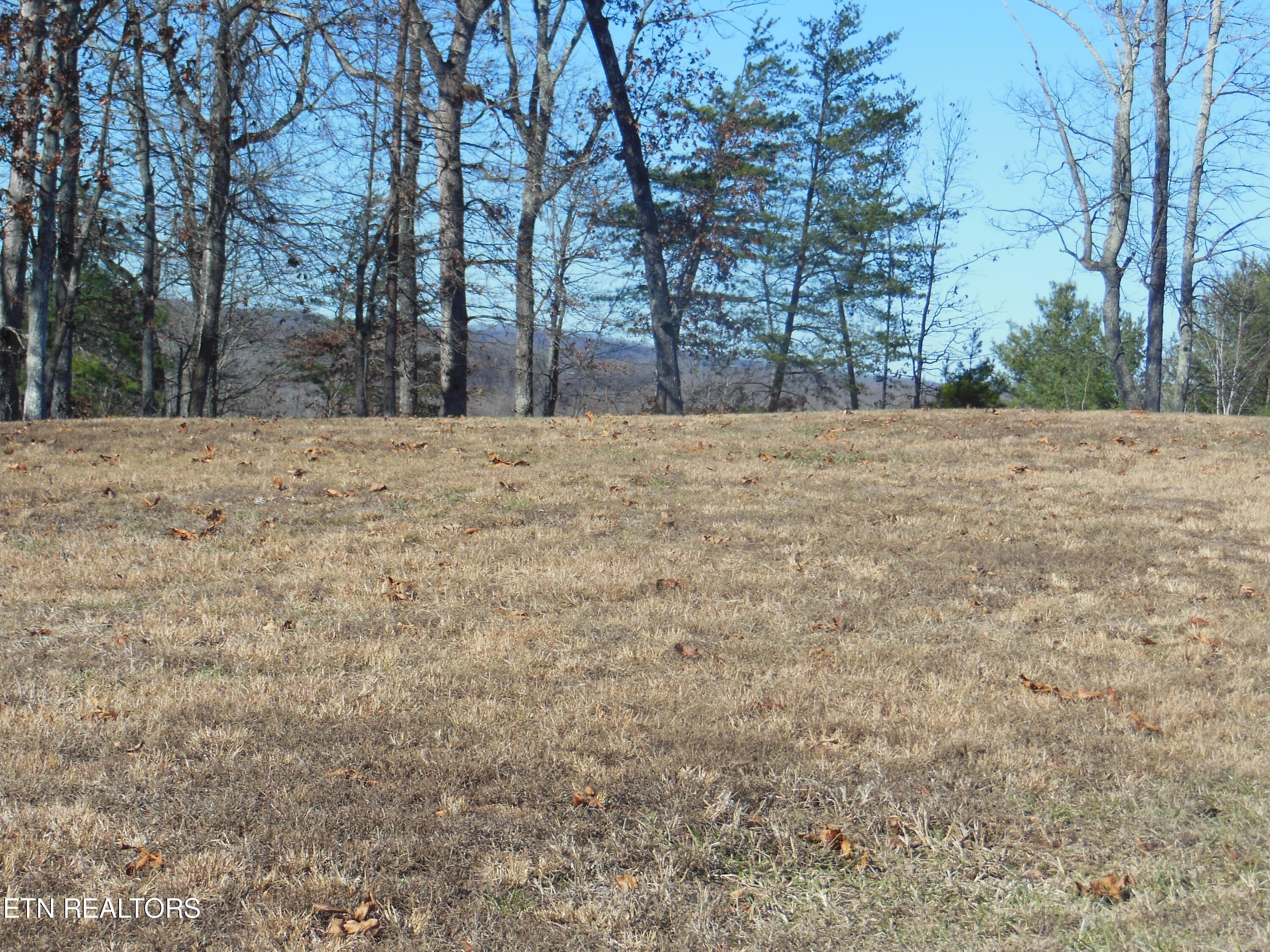 140 Quail Holw Cove Spring City, TN 37381 - Photo 7 of 15 DSCN9851