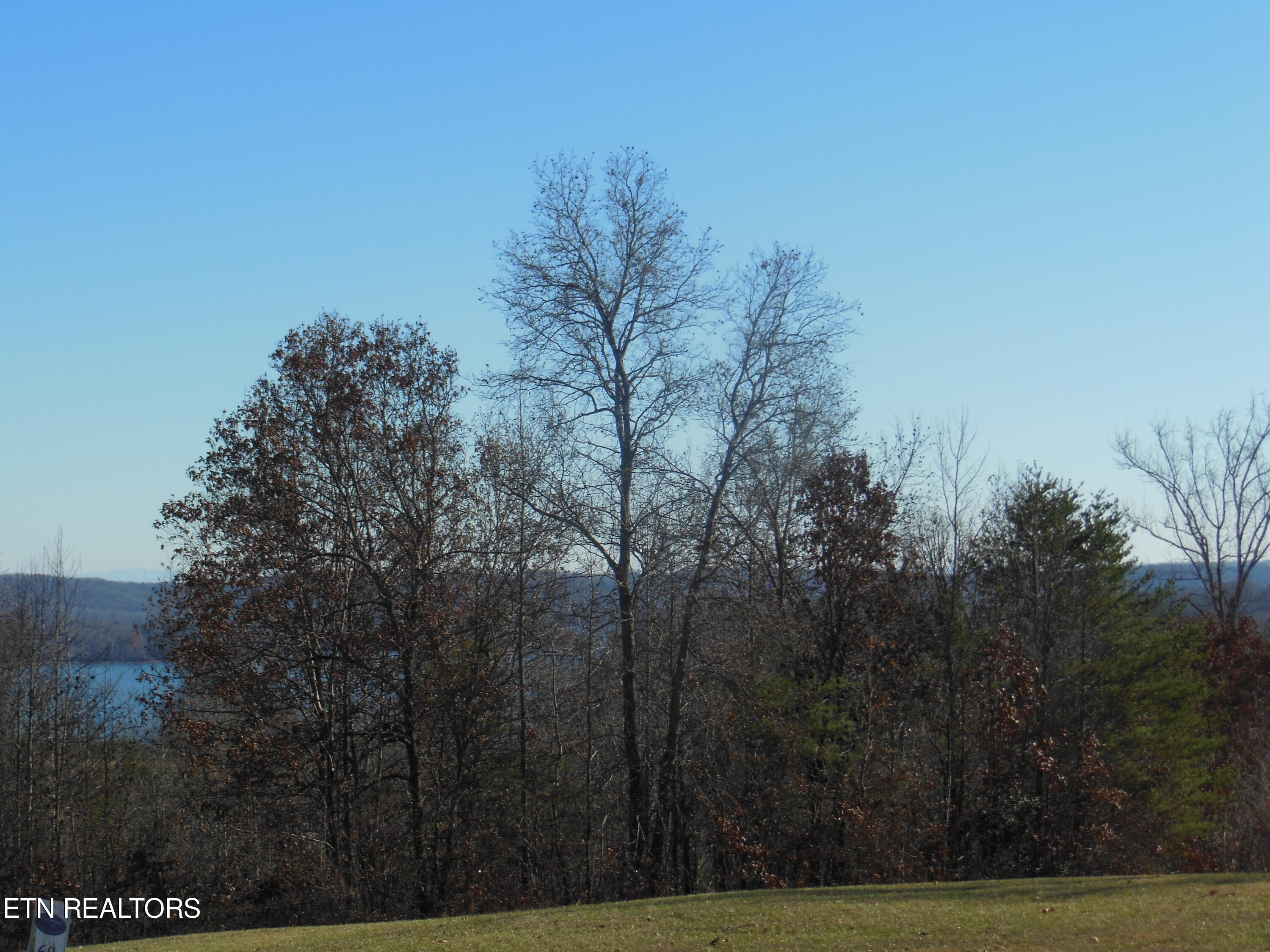 140 Quail Holw Cove Spring City, TN 37381 - Photo 8 of 15 DSCN9852
