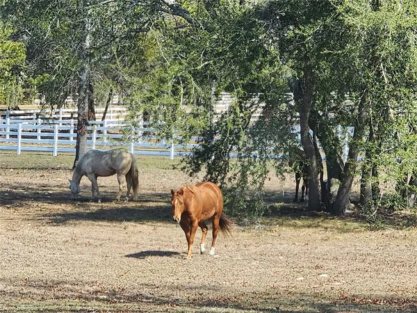 $2,410,000 | 10532 Southwest 27th Avenue, Ocala, FL 34476