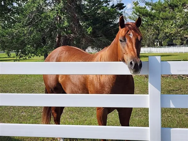 $2,410,000 | 10532 Southwest 27th Avenue, Ocala, FL 34476