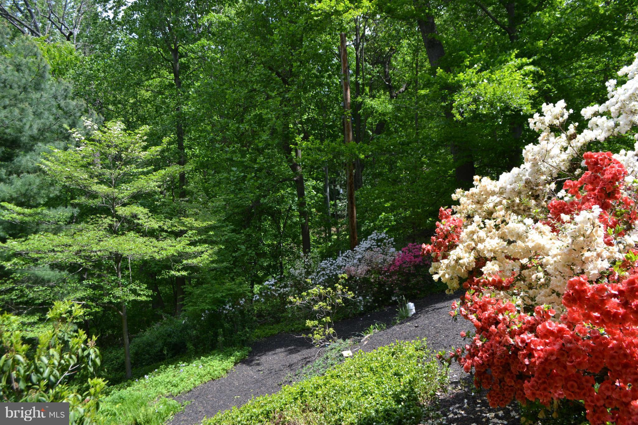 2008 Ridgecrest Court Ruxton, MD 21204 - Photo 10 of 30 View from your Master Balcony