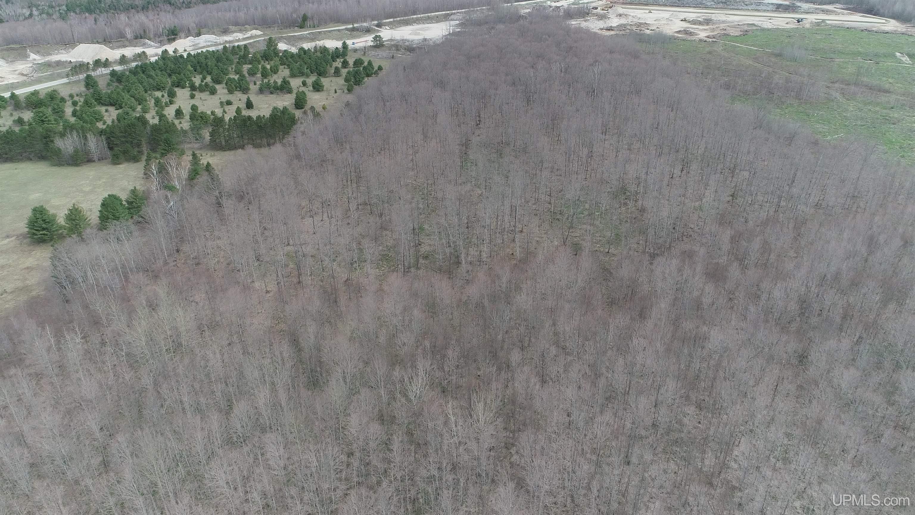 Parcel B County 433 Road Gulliver, MI 49840 - Photo 10 of 14