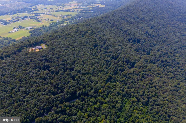 a view of a field of the house
