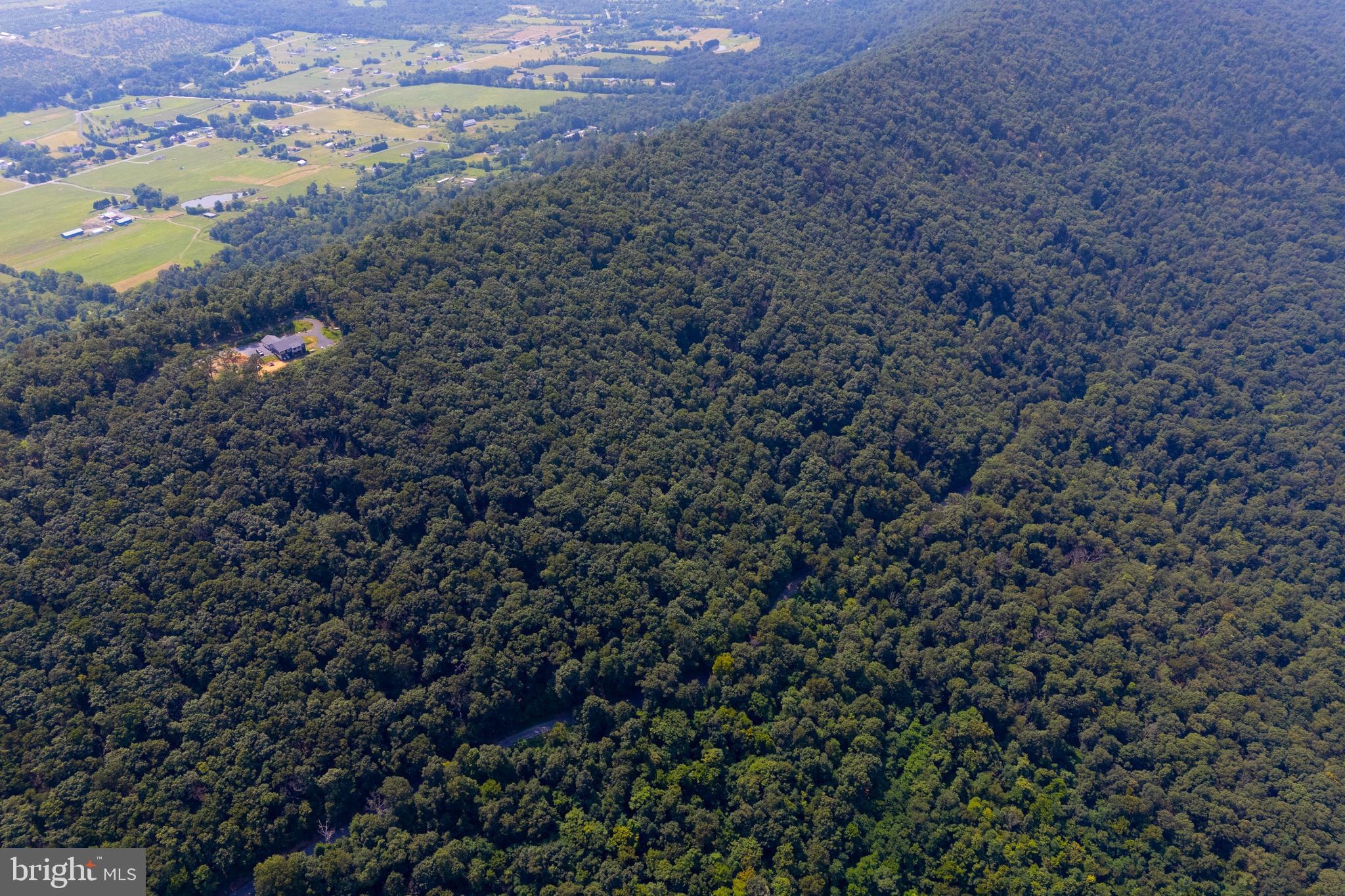 Lot 12 Radio Tower Road Gerrardstown, WV 25420 - Photo 13 of 22 a view of a dry yard