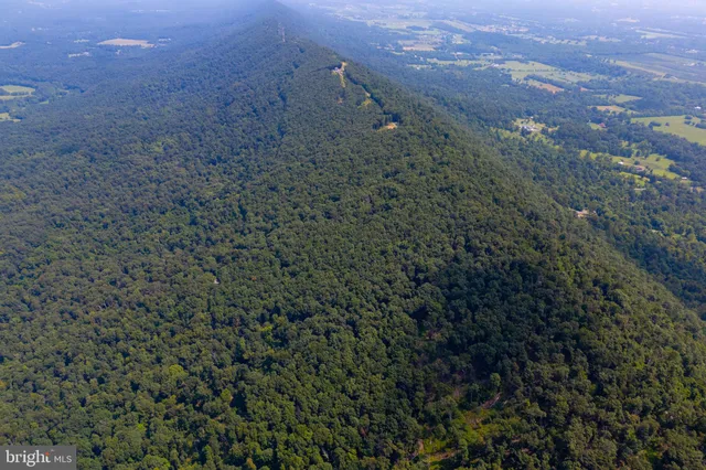 a view of a field with trees in the background