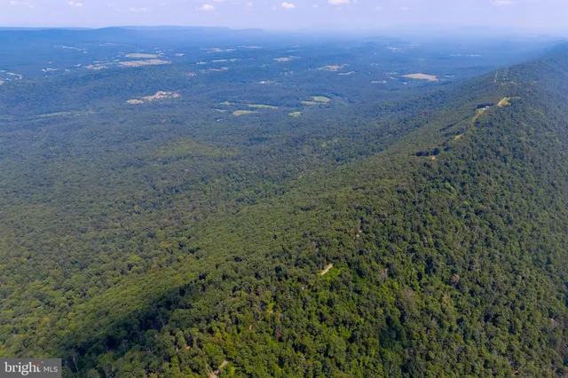 a view of a field with an ocean