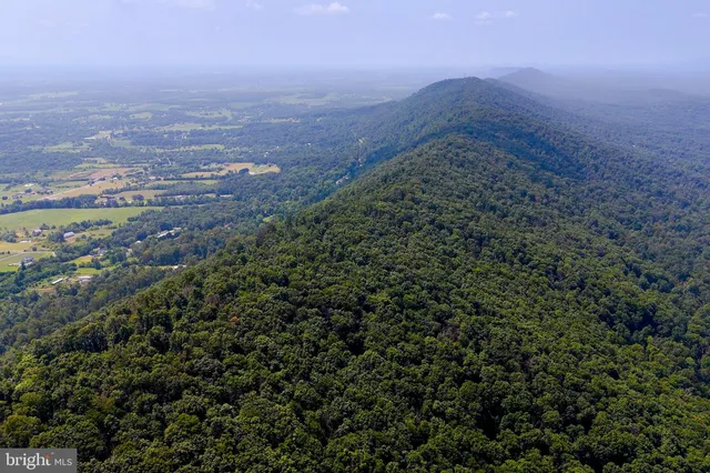 a view of a dry yard with trees all around