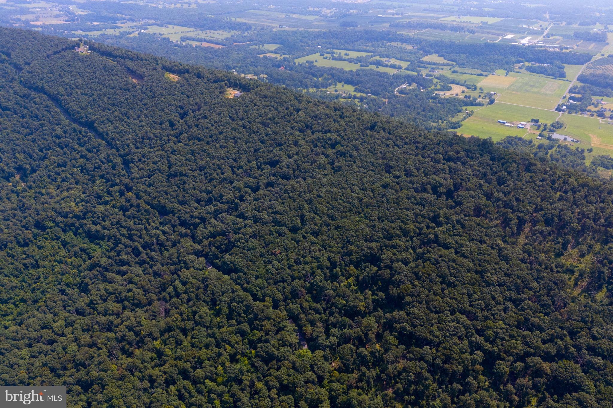 Lot 12 Radio Tower Road Gerrardstown, WV 25420 - Photo 17 of 17