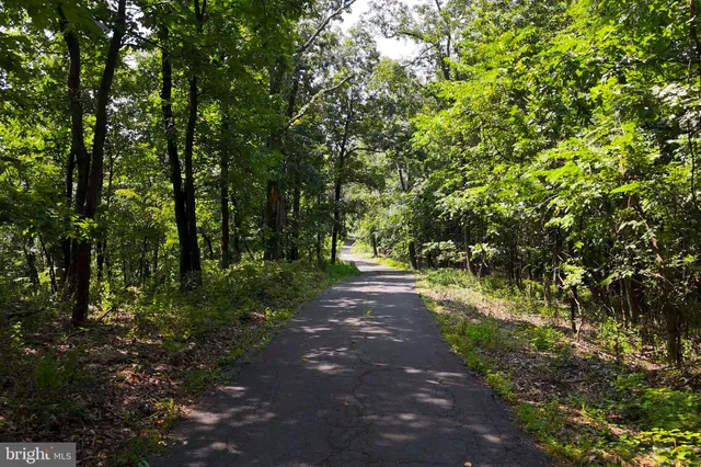 a big yard with lots of green space and trees