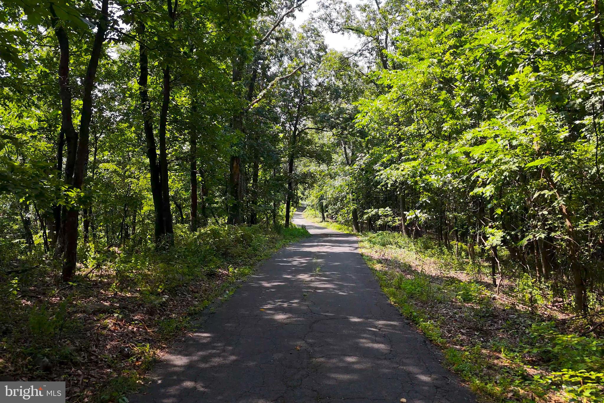Lot 12 Radio Tower Road Gerrardstown, WV 25420 - Photo 6 of 17 Paved Up The Mountain to the Property Line