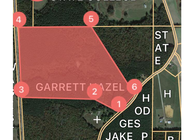 78-ac Wallfield Road Pontotoc, MS 38863 - Photo 1 of 1 Gallery Image 1
