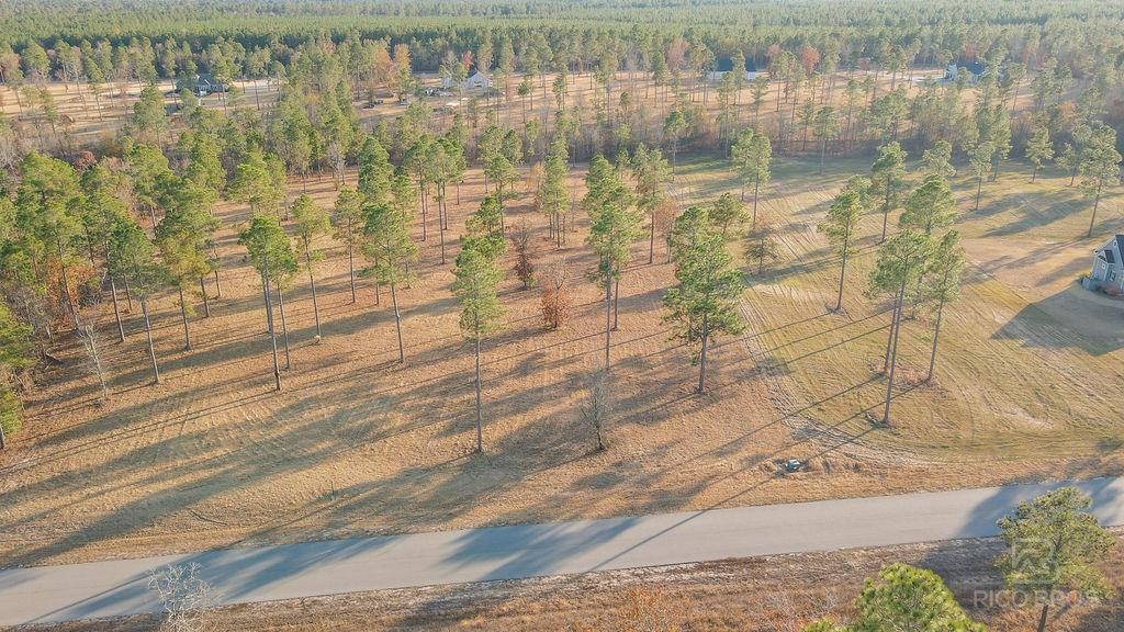 Lot 28 Rembert Place Aiken, SC 29803 - Photo 9 of 18