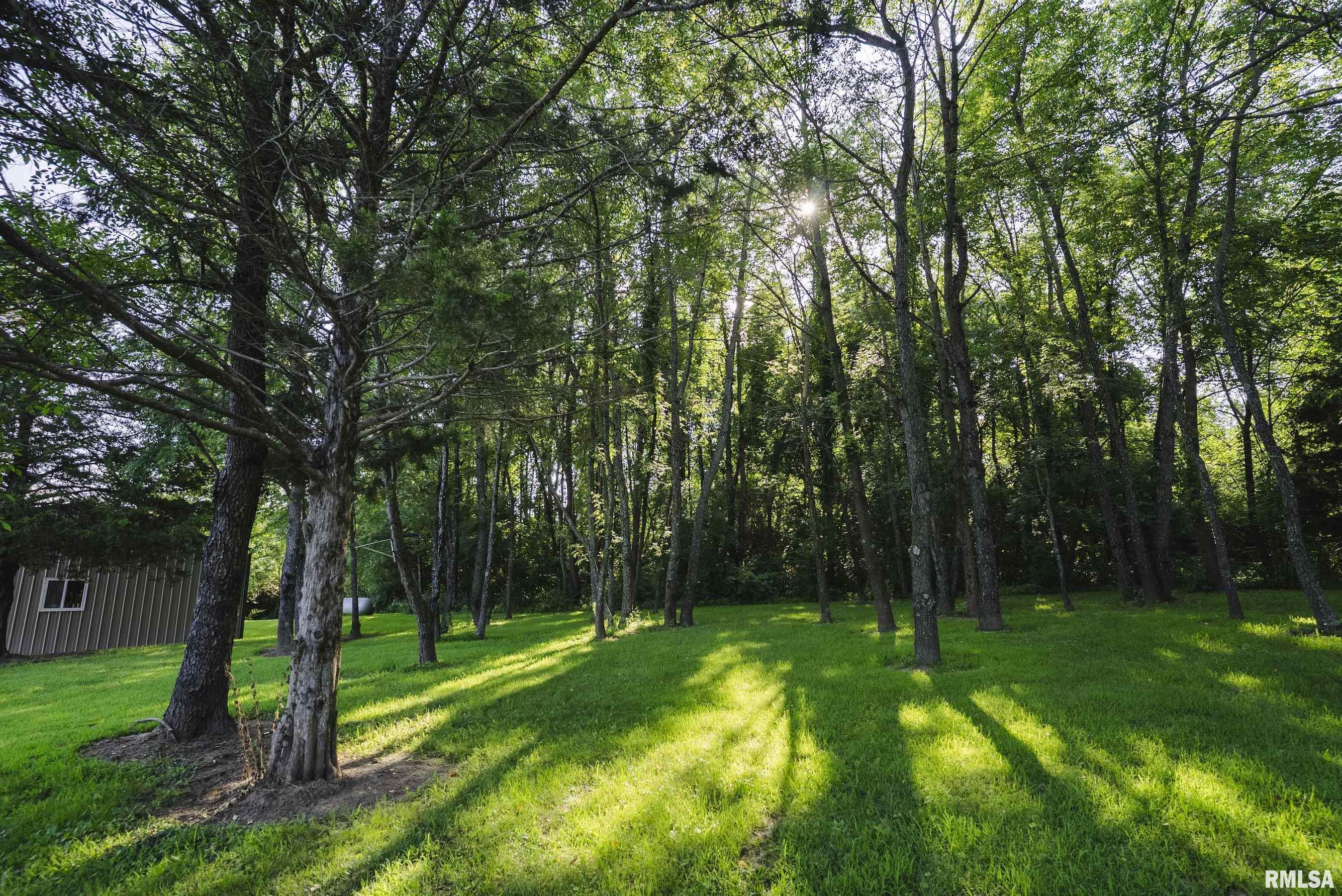 32440 Jim Town Hollow Road Rockport, IL 62370 - Photo 68 of 99