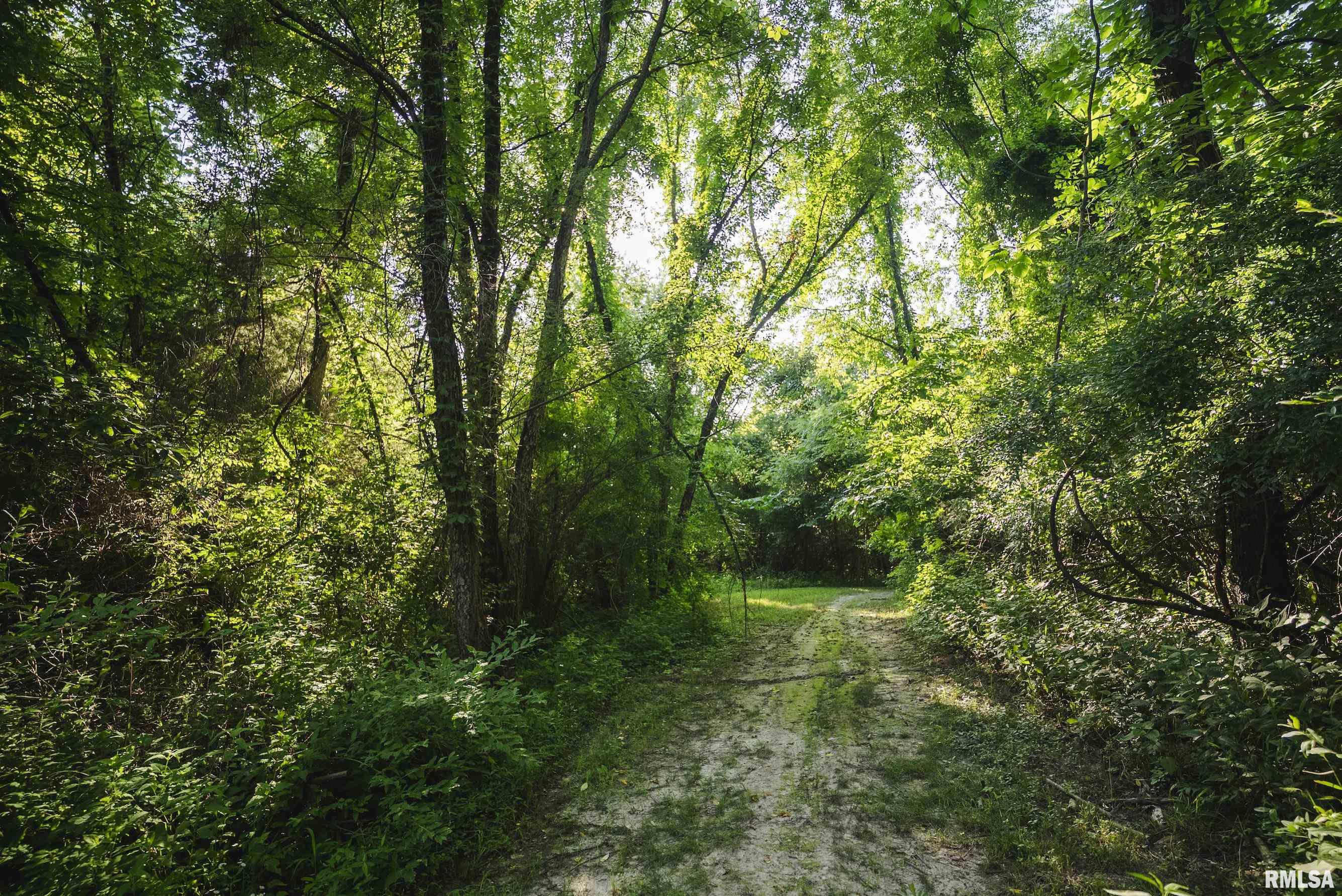 32440 Jim Town Hollow Road Rockport, IL 62370 - Photo 72 of 99