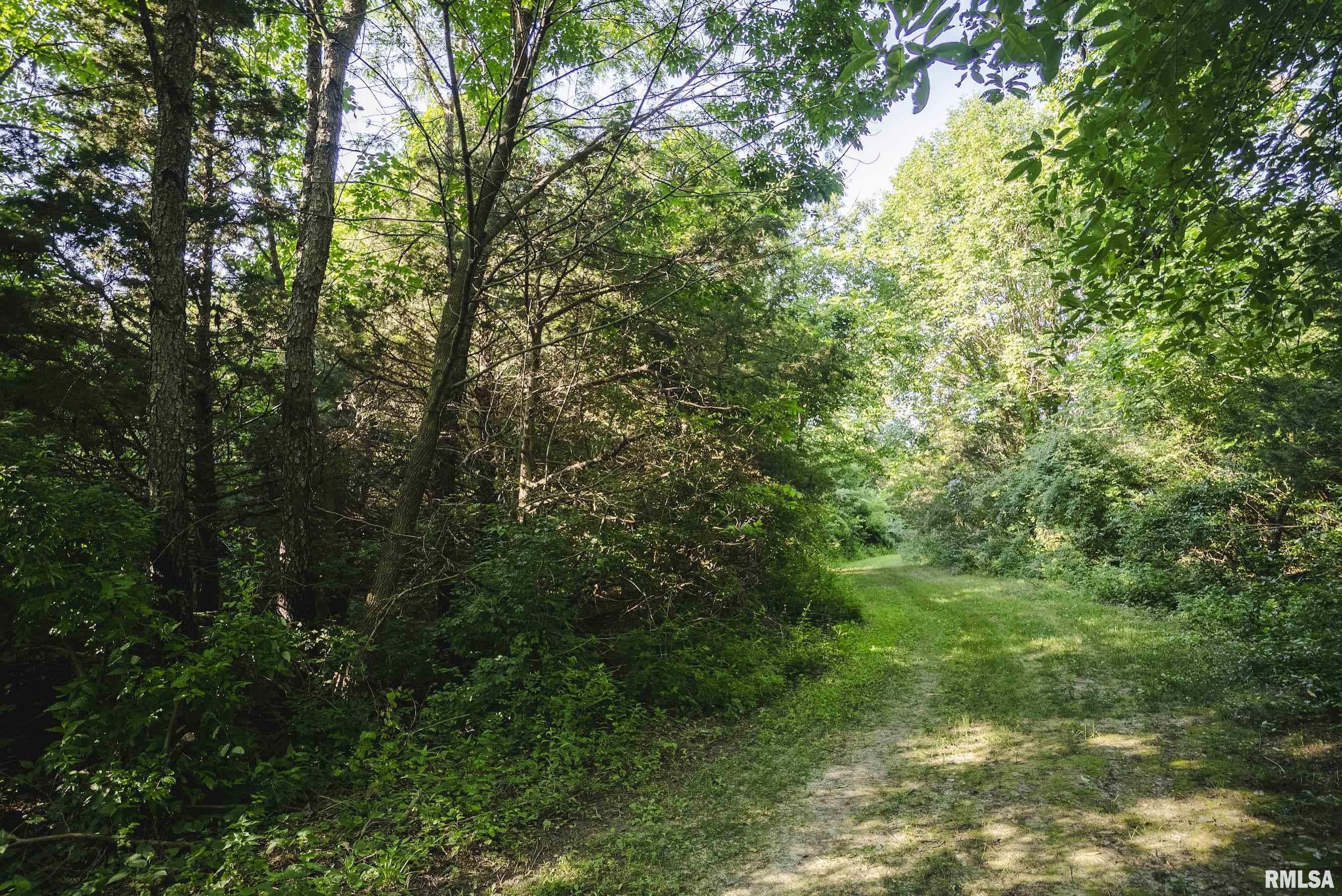 32440 Jim Town Hollow Road Rockport, IL 62370 - Photo 73 of 99