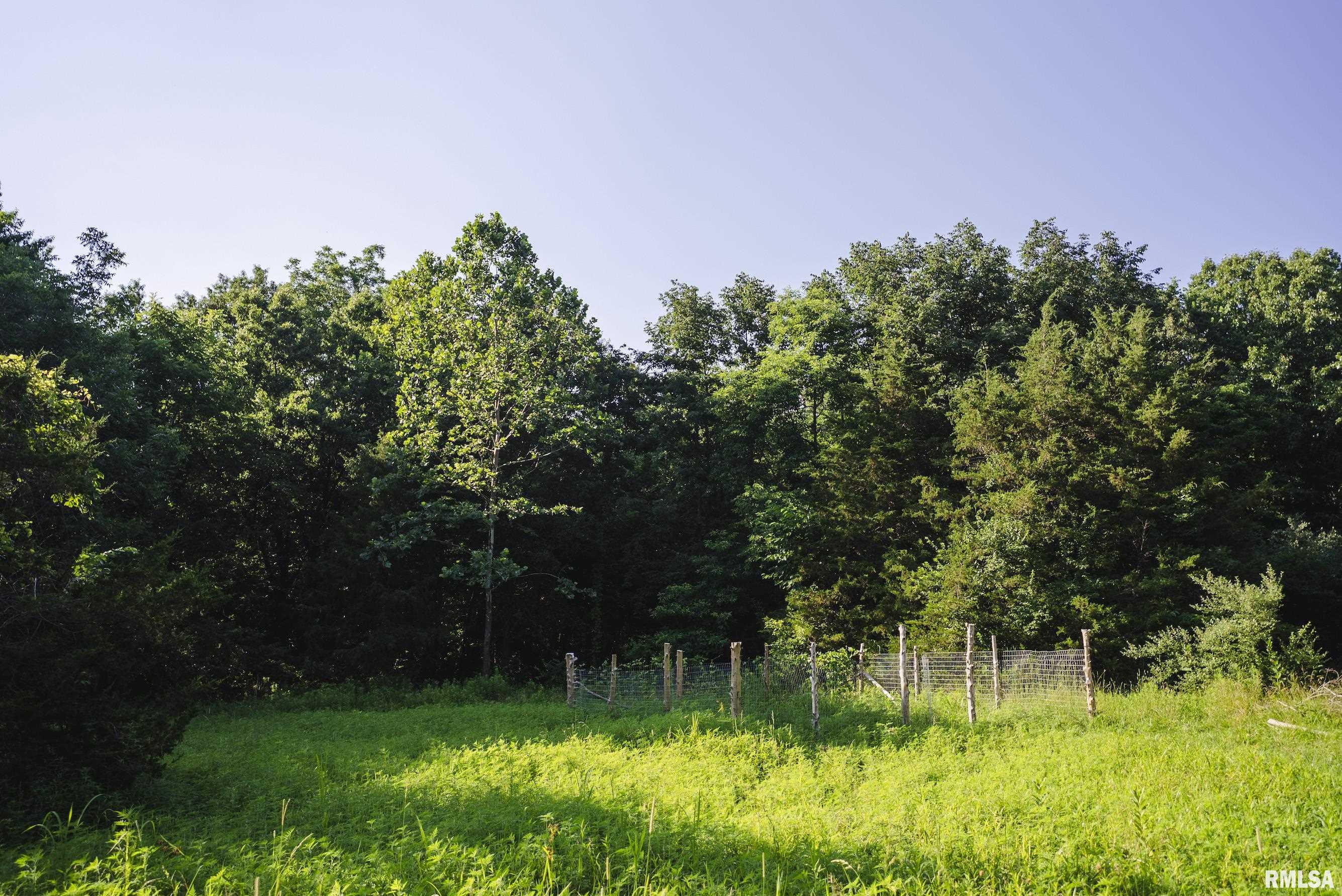 32440 Jim Town Hollow Road Rockport, IL 62370 - Photo 74 of 99