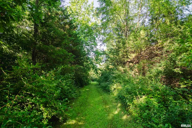 $520,000 | 32440 Jim Town Hollow Road, Rockport, IL 62370