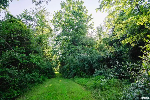 $520,000 | 32440 Jim Town Hollow Road, Rockport, IL 62370