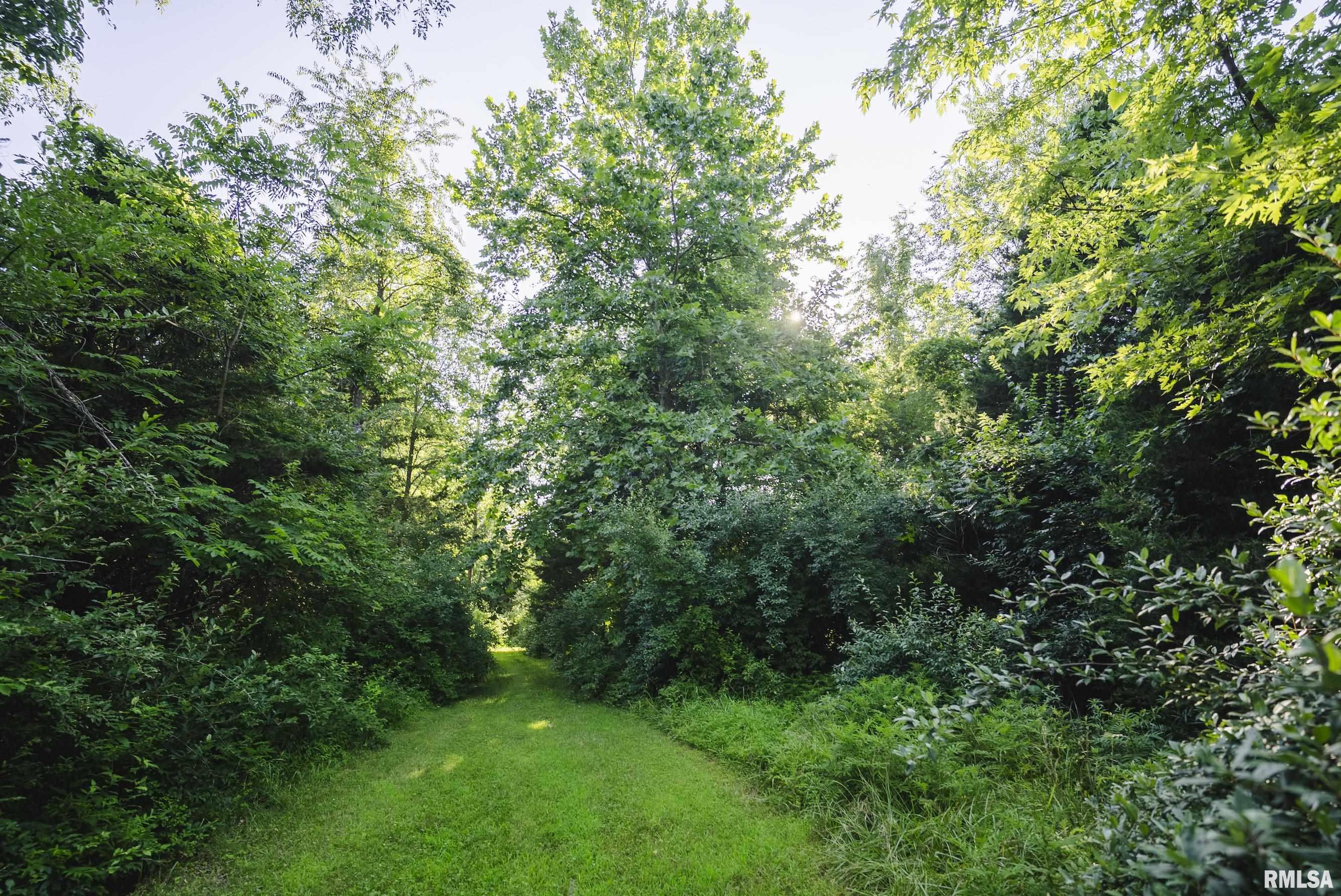 32440 Jim Town Hollow Road Rockport, IL 62370 - Photo 79 of 99