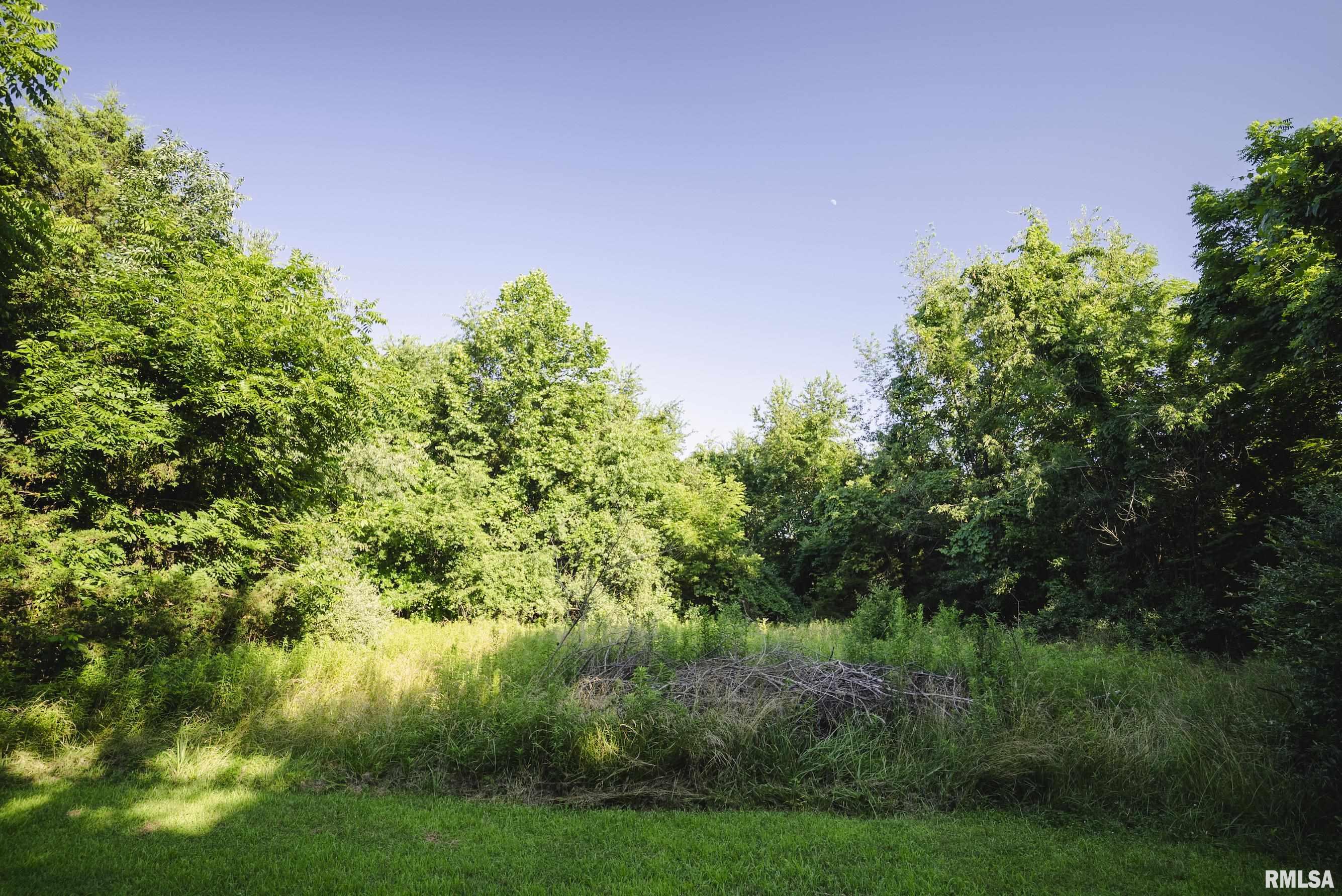 32440 Jim Town Hollow Road Rockport, IL 62370 - Photo 81 of 99