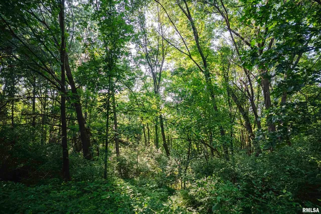 $520,000 | 32440 Jim Town Hollow Road, Rockport, IL 62370