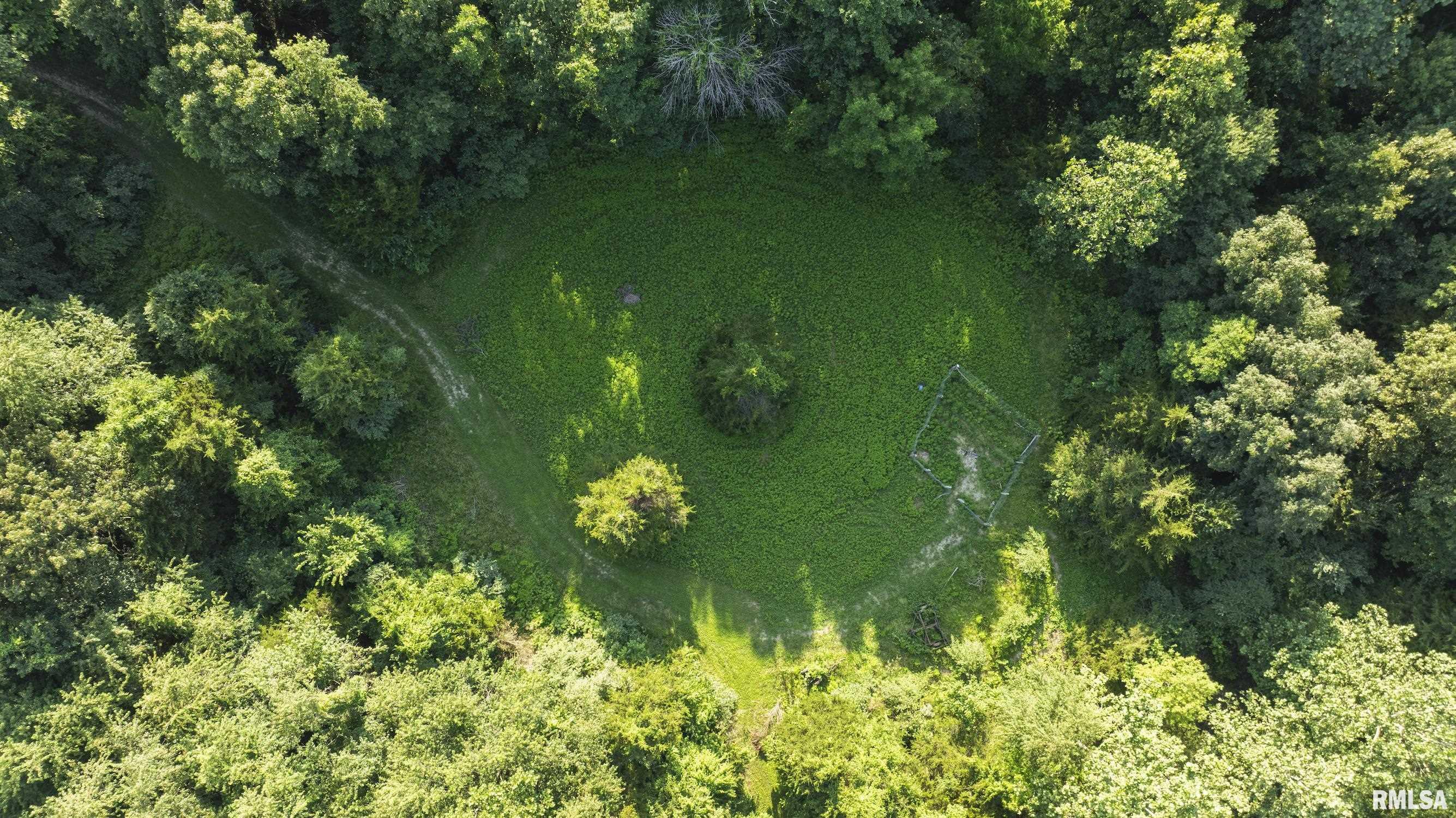 32440 Jim Town Hollow Road Rockport, IL 62370 - Photo 85 of 99