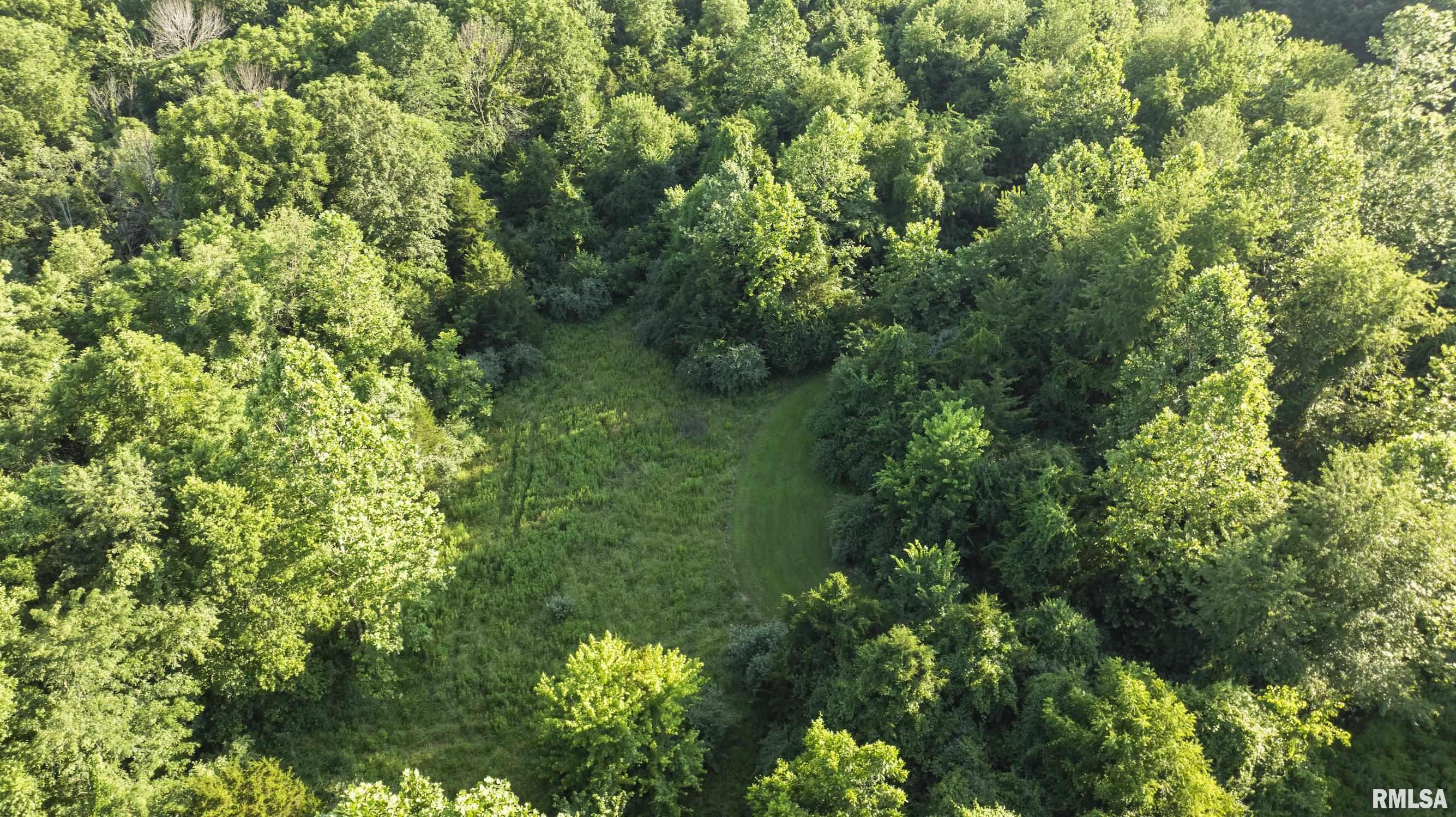 32440 Jim Town Hollow Road Rockport, IL 62370 - Photo 86 of 99