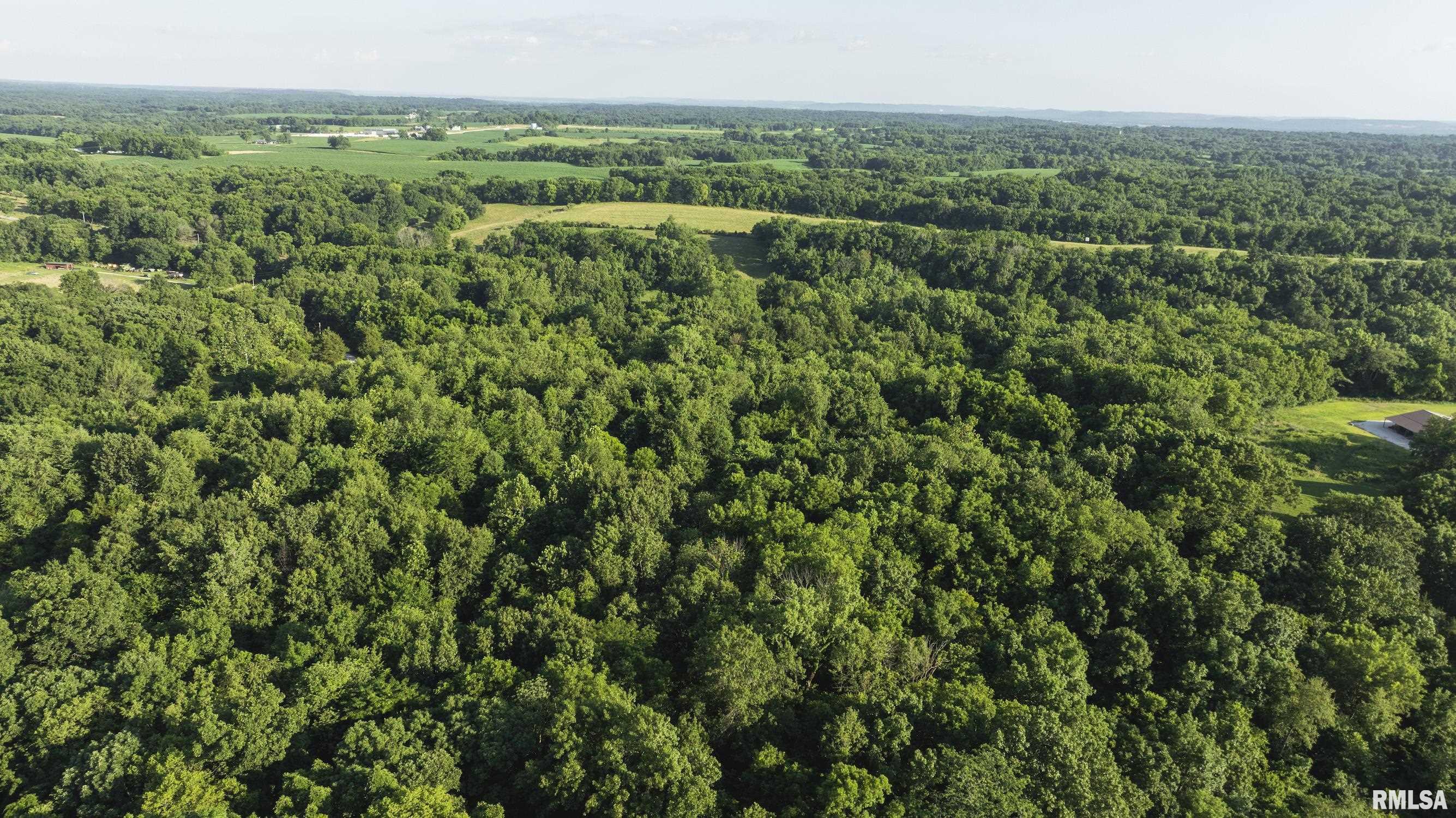 32440 Jim Town Hollow Road Rockport, IL 62370 - Photo 87 of 99