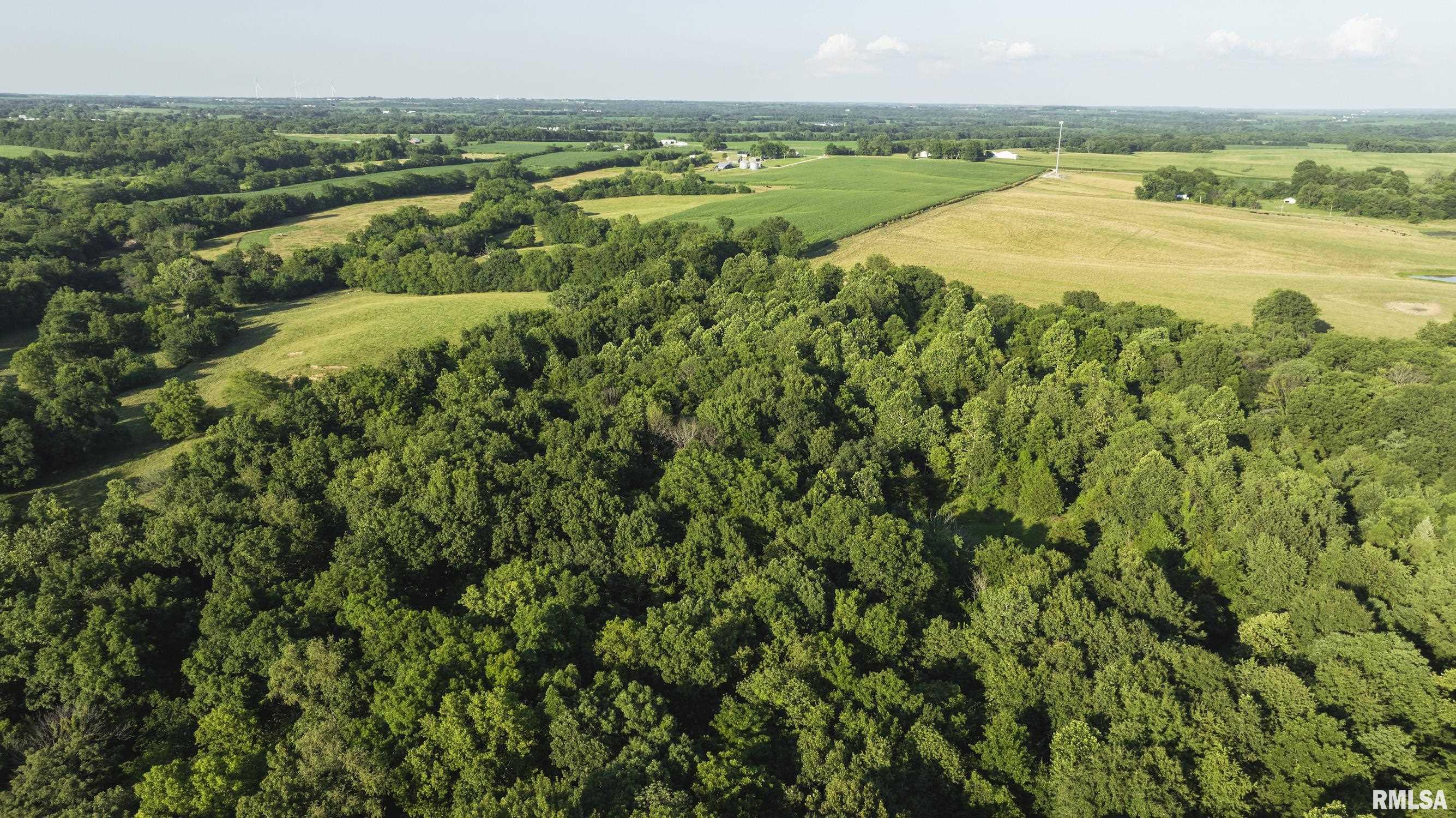 32440 Jim Town Hollow Road Rockport, IL 62370 - Photo 88 of 99