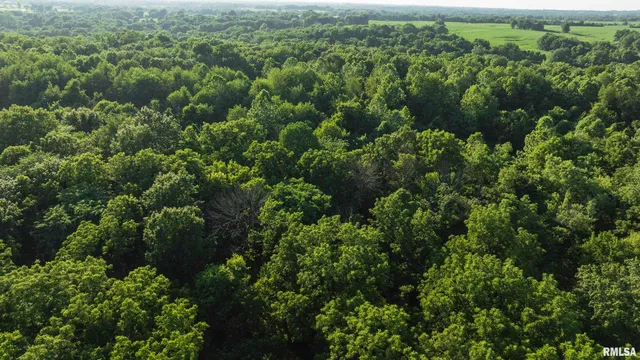 $520,000 | 32440 Jim Town Hollow Road, Rockport, IL 62370