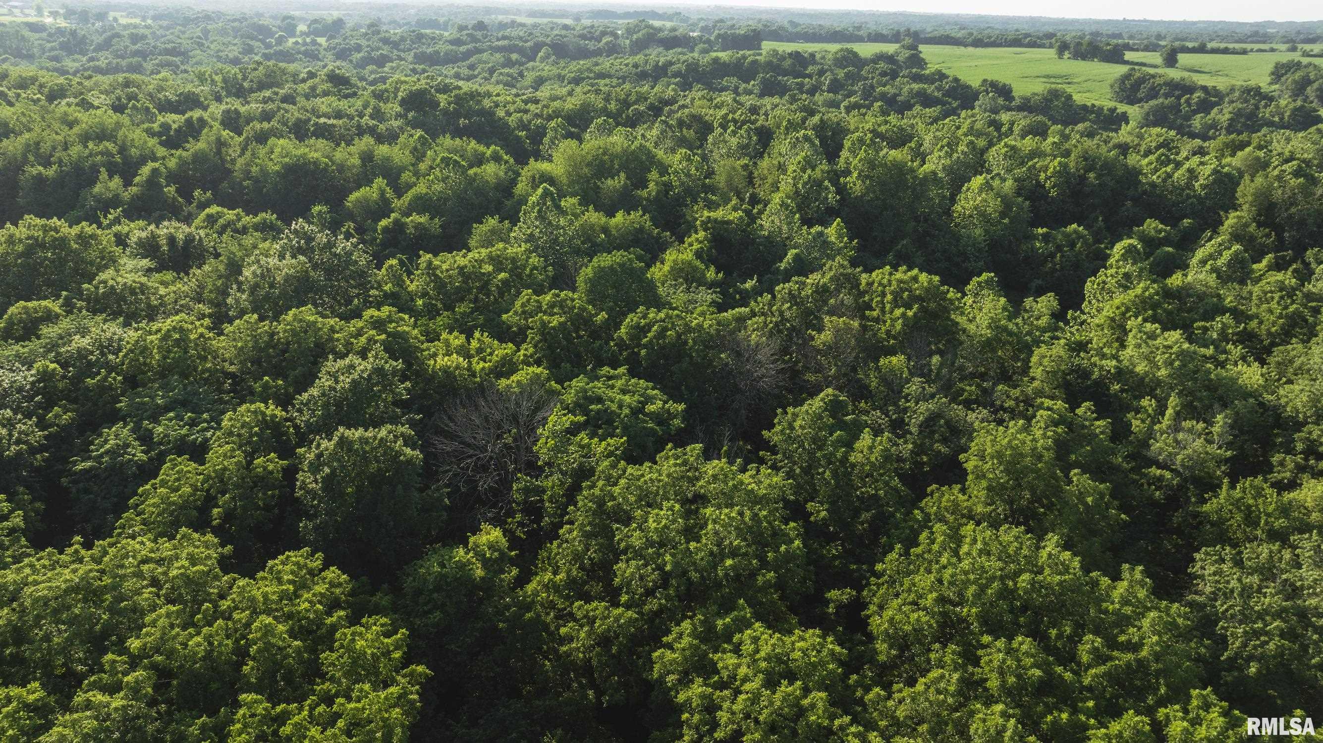 32440 Jim Town Hollow Road Rockport, IL 62370 - Photo 91 of 99