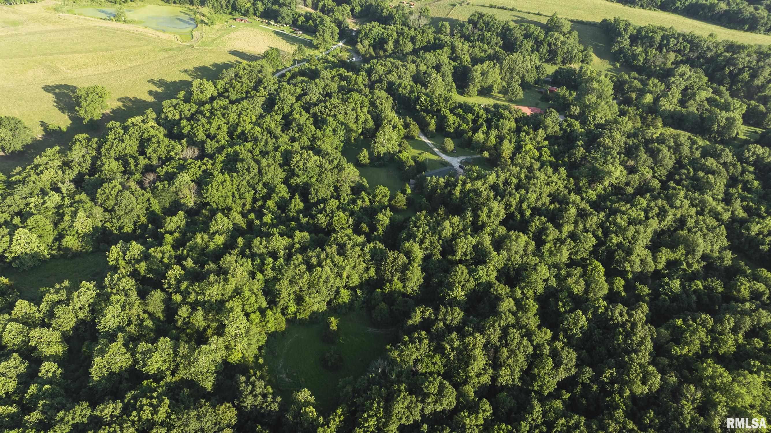 32440 Jim Town Hollow Road Rockport, IL 62370 - Photo 95 of 99