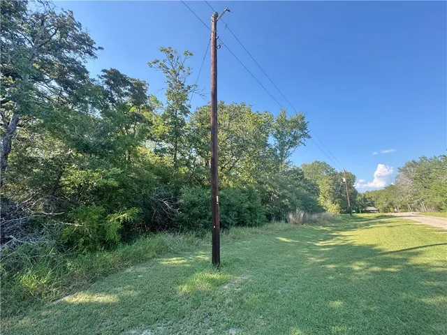 a view of a field with a tree in the background