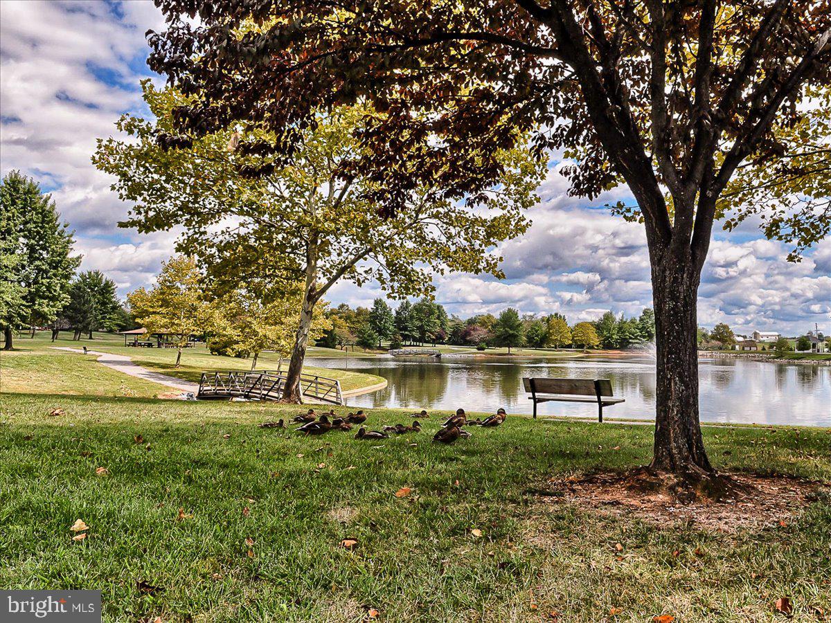 2509 Shelley Circle, Unit 5 3A Frederick, MD 21702 - Photo 38 of 47 a view of lake with a yard