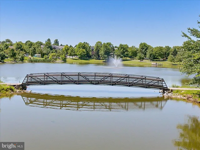a view of a swimming pool with a lake and trees in the background