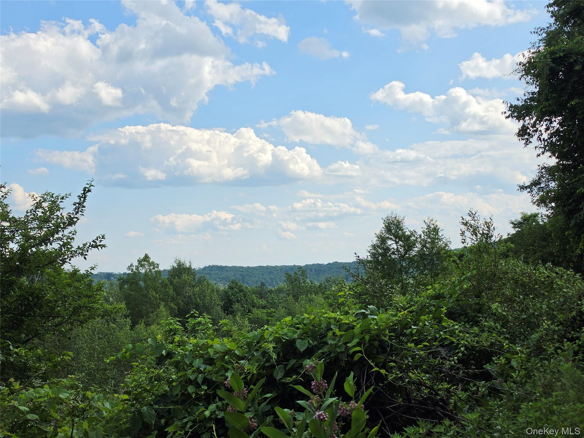 Tbd Timberwolf Road West Liberty, NY 12754 - Photo 12 of 27 Gallery Image 12