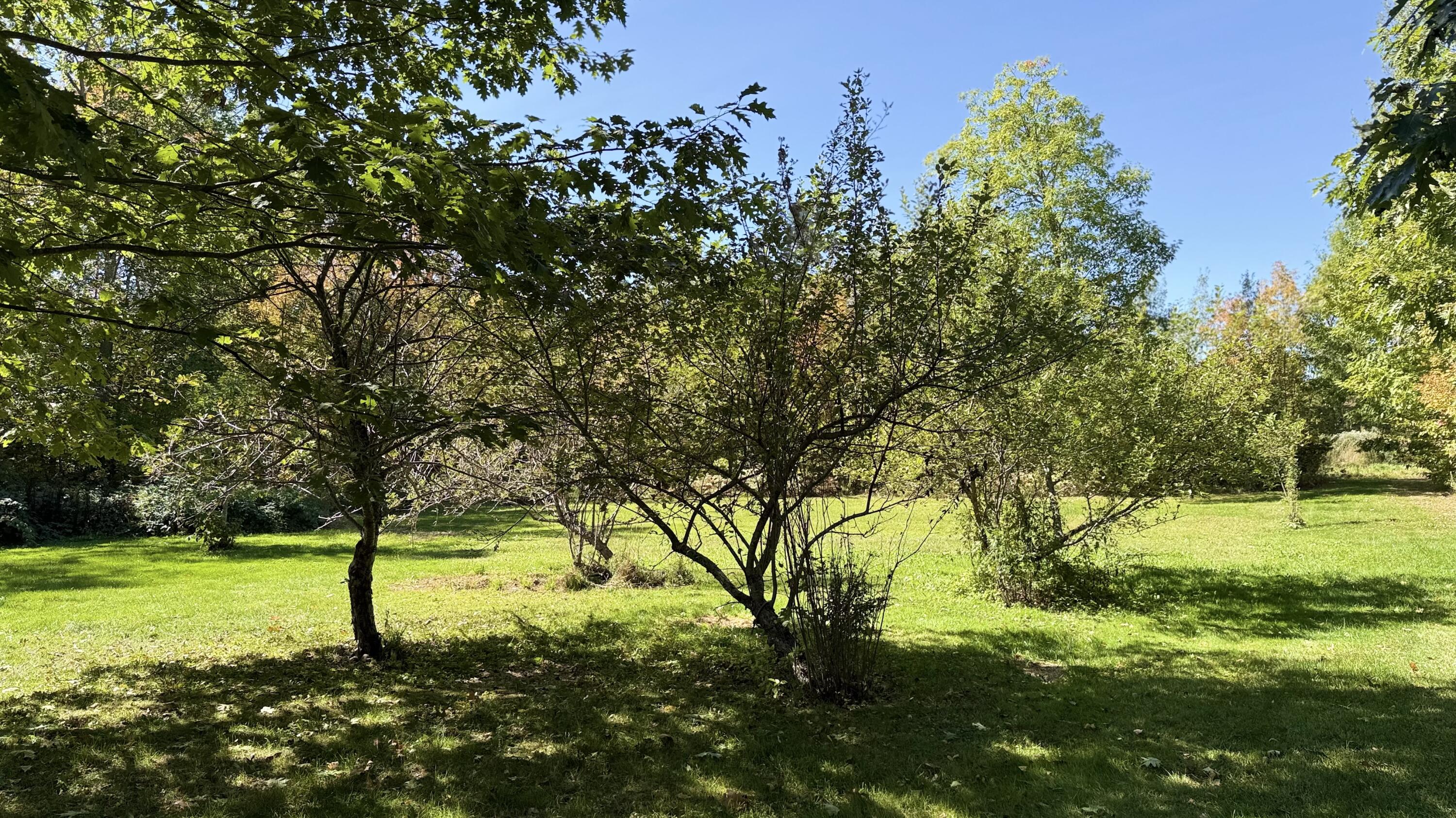 249 School Road Charleston, ME 04422 - Photo 85 of 93 85