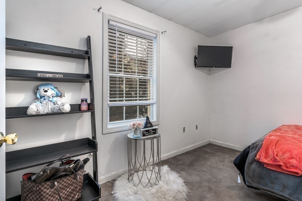 306 Laurelton Street Springfield, MA 01109 - Photo 18 of 28 Gallery Image 18