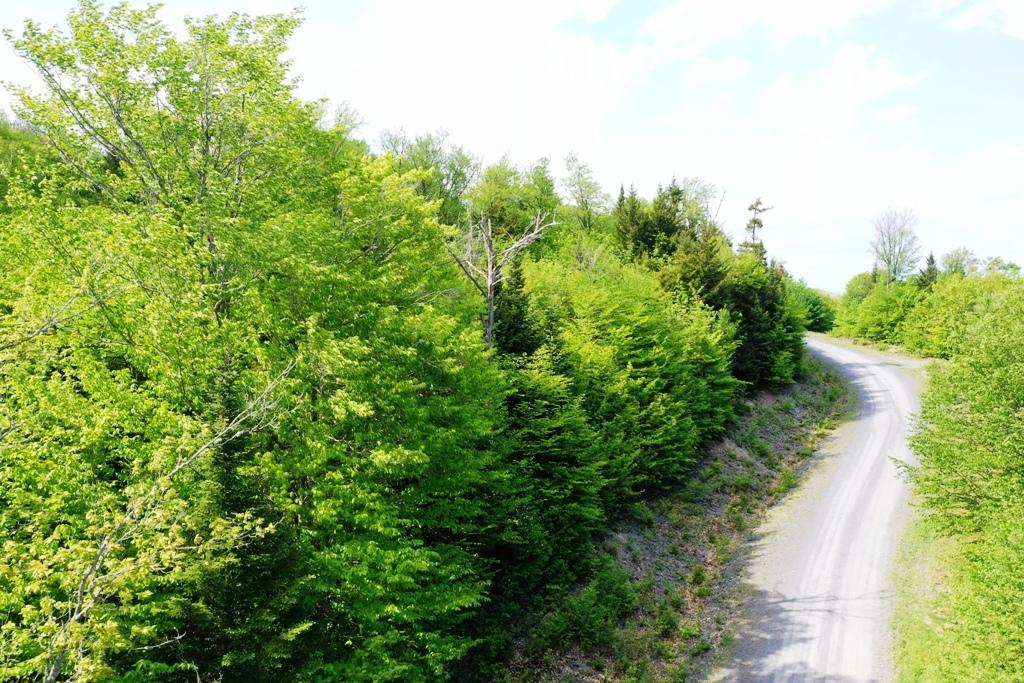 Lot 3 Alpine Ridge Greenville, ME 04441 - Photo 5 of 12 DJI_0218