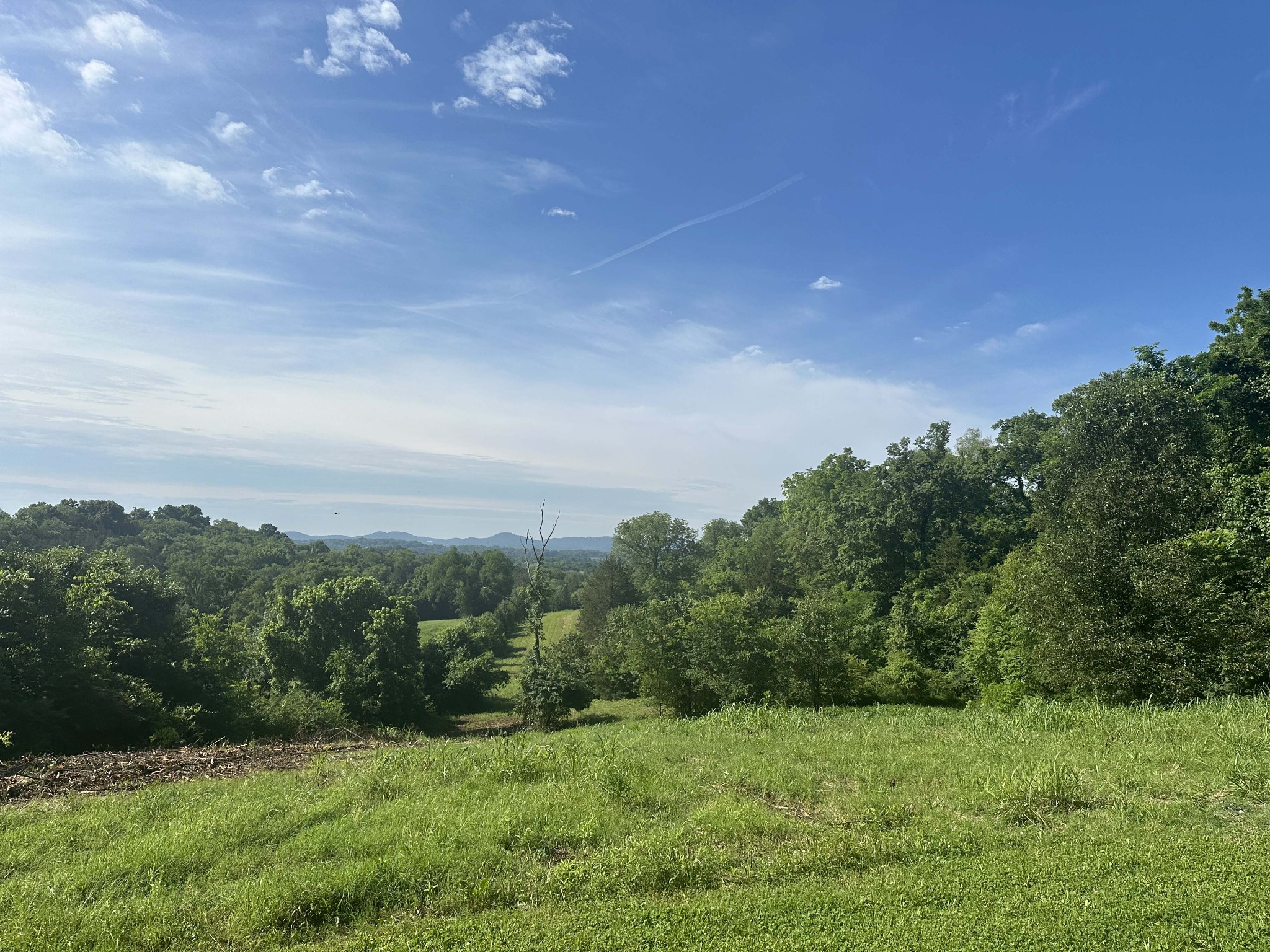a view of a field of grass and trees