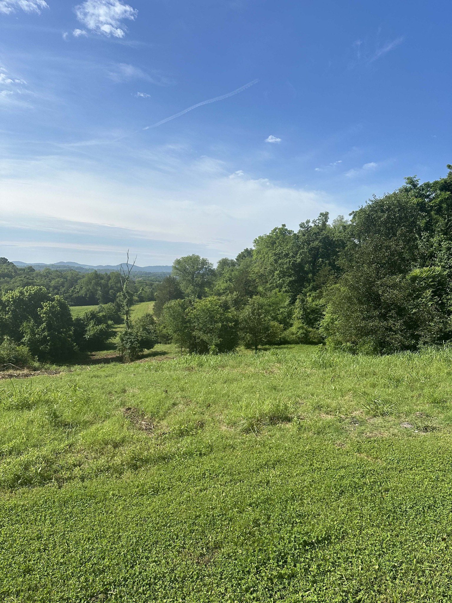 6278 Pettus Road Antioch, TN 37013 - Photo 2 of 6 a view of an outdoor space with a lake view