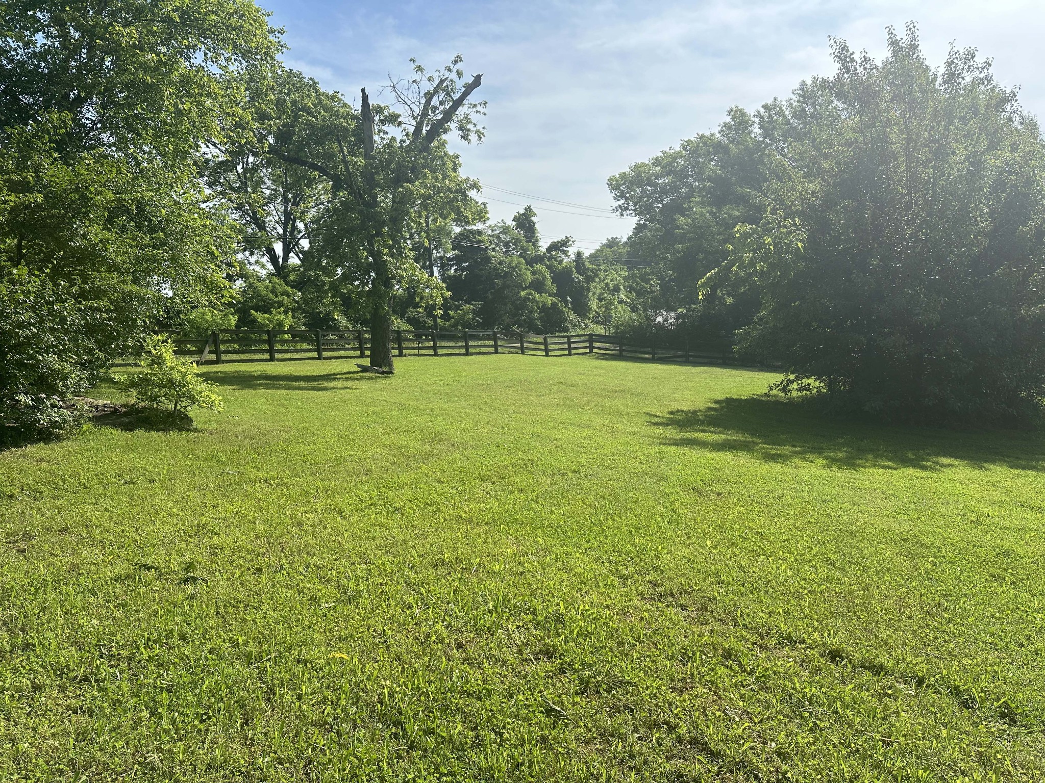 6278 Pettus Road Antioch, TN 37013 - Photo 3 of 6 a view of a field with a tree