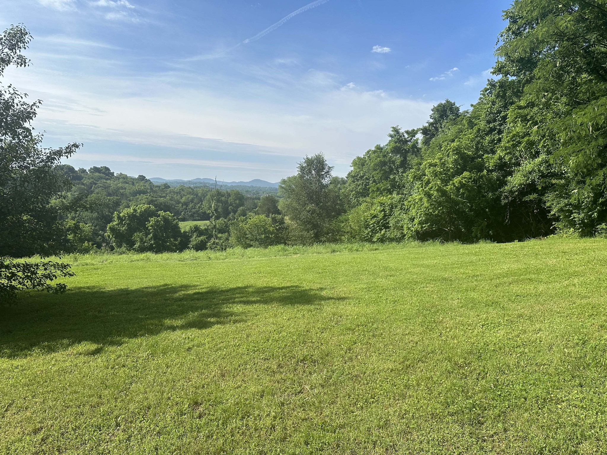 6278 Pettus Road Antioch, TN 37013 - Photo 4 of 6 a view of a green field with wooden fence