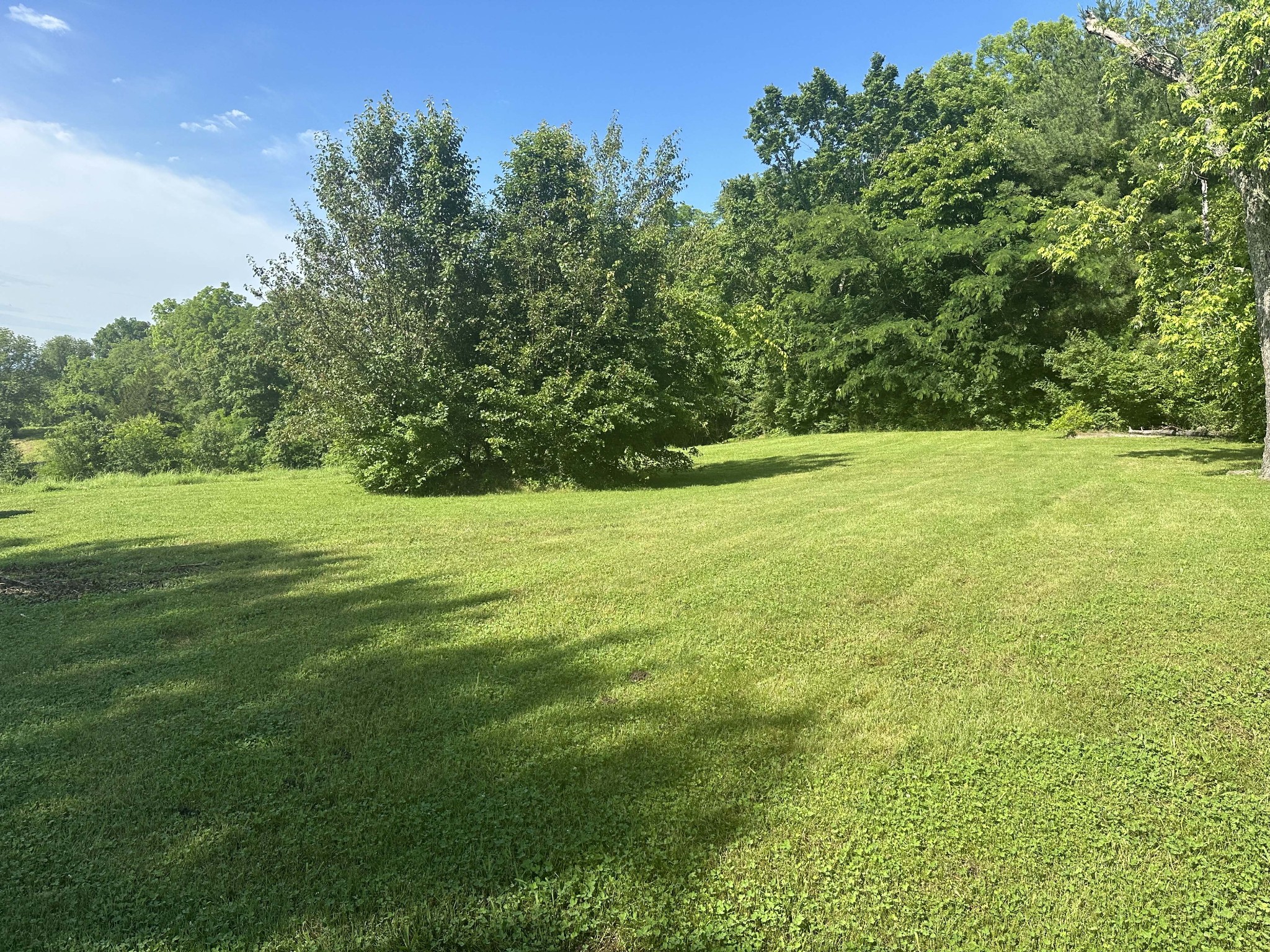 6278 Pettus Road Antioch, TN 37013 - Photo 5 of 6 a view of a grassy field with trees