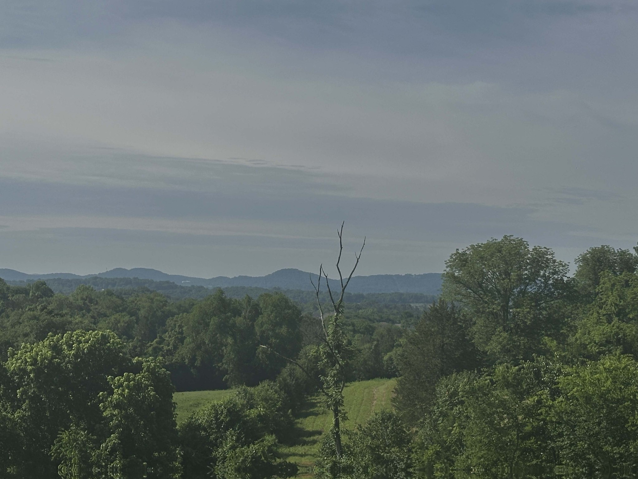 6278 Pettus Road Antioch, TN 37013 - Photo 6 of 6 a view of a house with a mountain